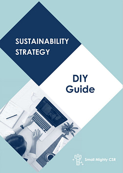 DIY Guide_cover Cover image of DIY guide
