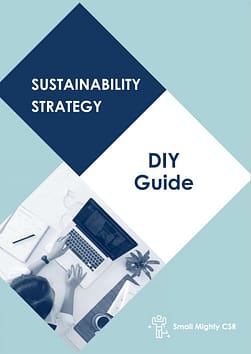 Cover image of DIY guide